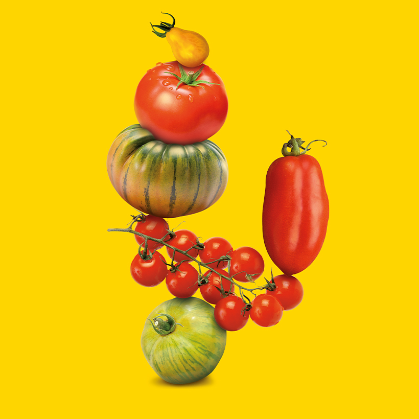 Élément graphique Koppert, balance des équilibres, plusieurs variétés de tomates empilées, sur fond jaune