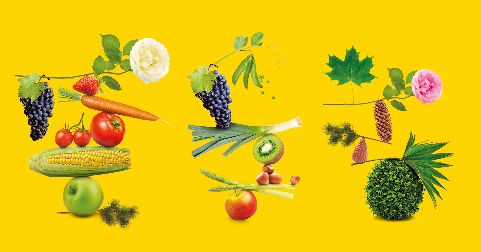 Éléments graphiques Koppert, balance des équilibres, empilement de fruits et légumes, sur fond jaune, vue de face