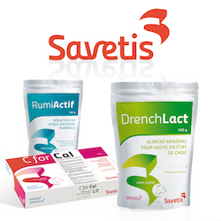 Savetis