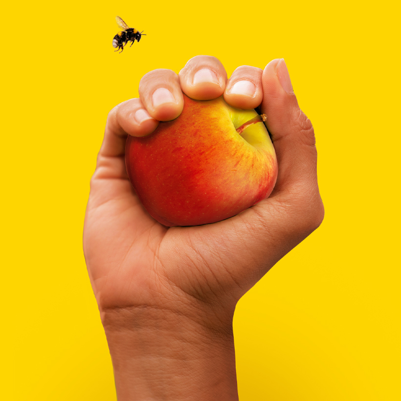 Élément graphique Koppert, main tenant une pomme, avec un bourdon qui vole, sur fond jaune