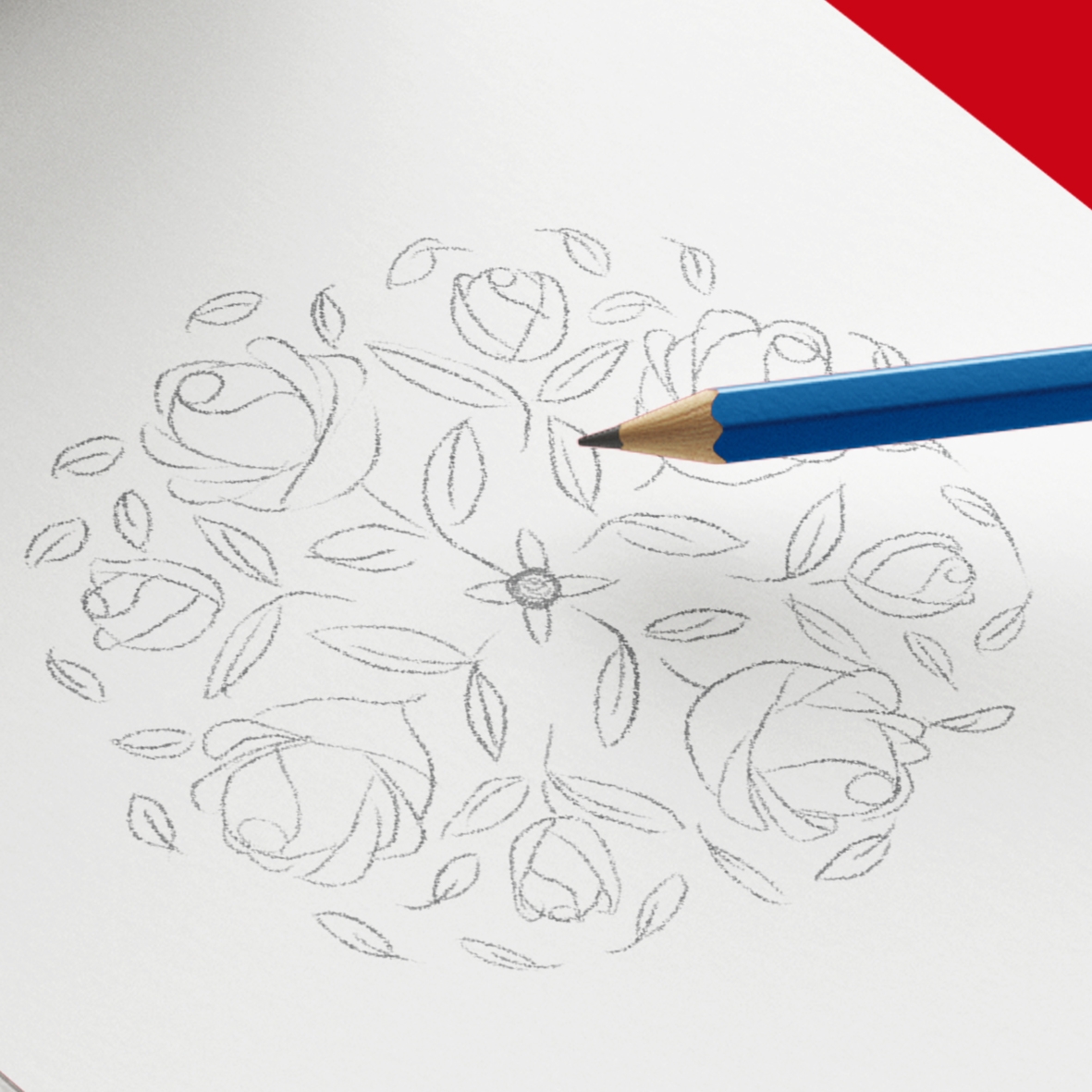 Esquisse logo Roses de la cote d’emeraude, au crayon à papier, sur feuille blanche, avec un crayon à papier bleu