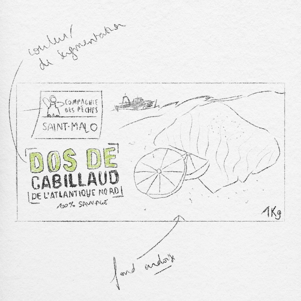 Esquisse Compagnie des pêches Saint Malo, crayon à papier, sur papier blanc