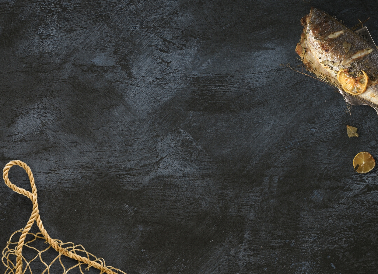 Illustration d’ambiance Émeraude, fond ardoise, filet de pêche et poisson, vue de dessus